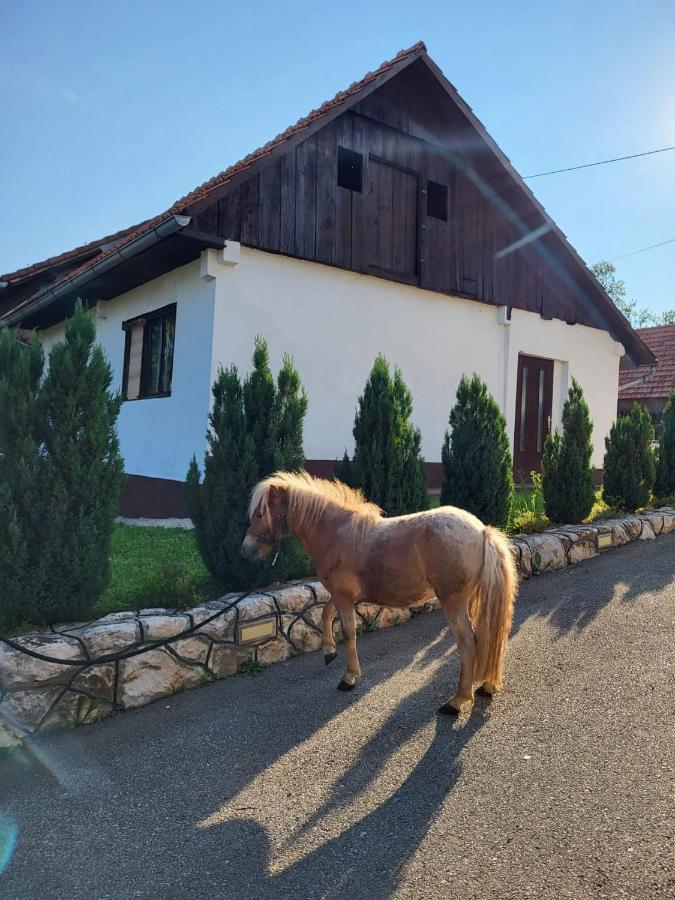 Apartment Dado Slunj Zewnętrze zdjęcie