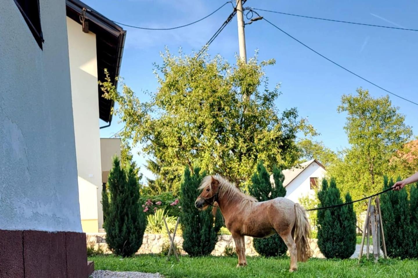 Apartment Dado Slunj Zewnętrze zdjęcie